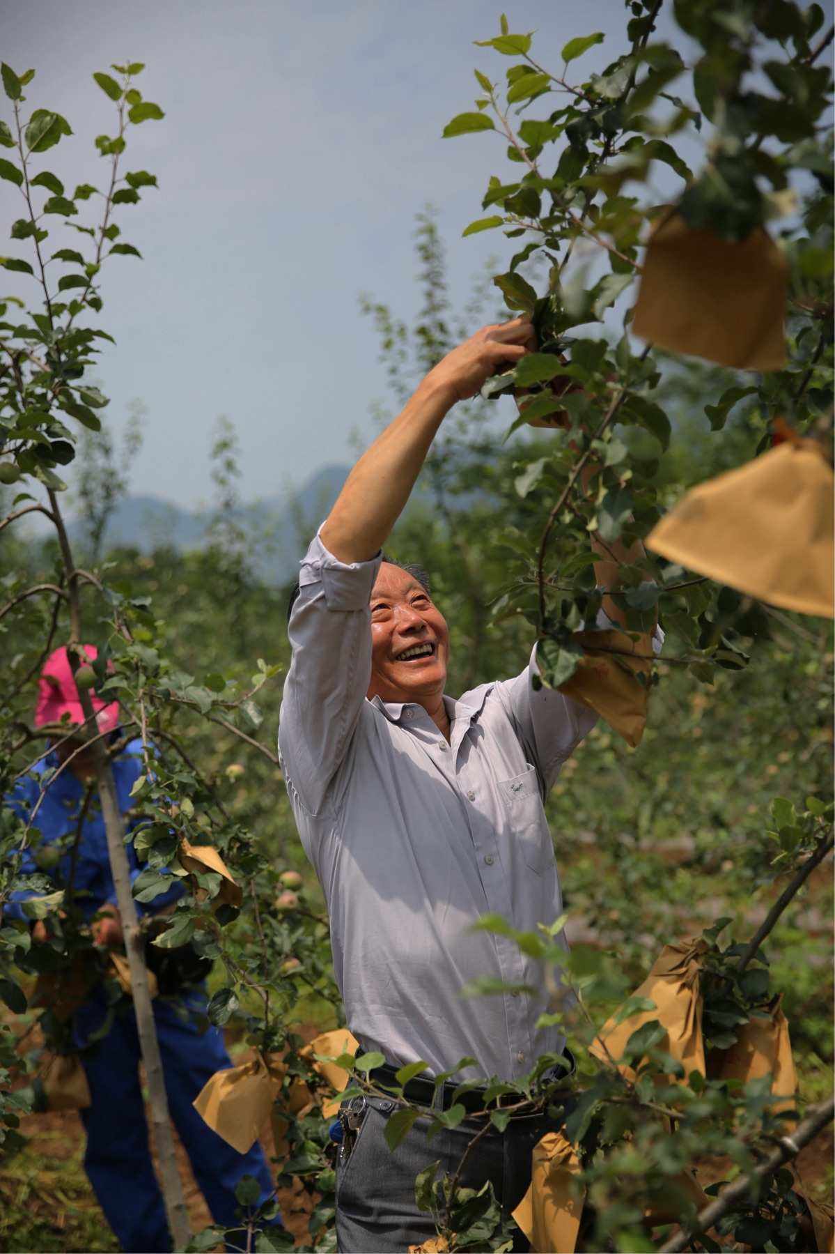 苹果版精准扶贫广西扶贫app苹果版